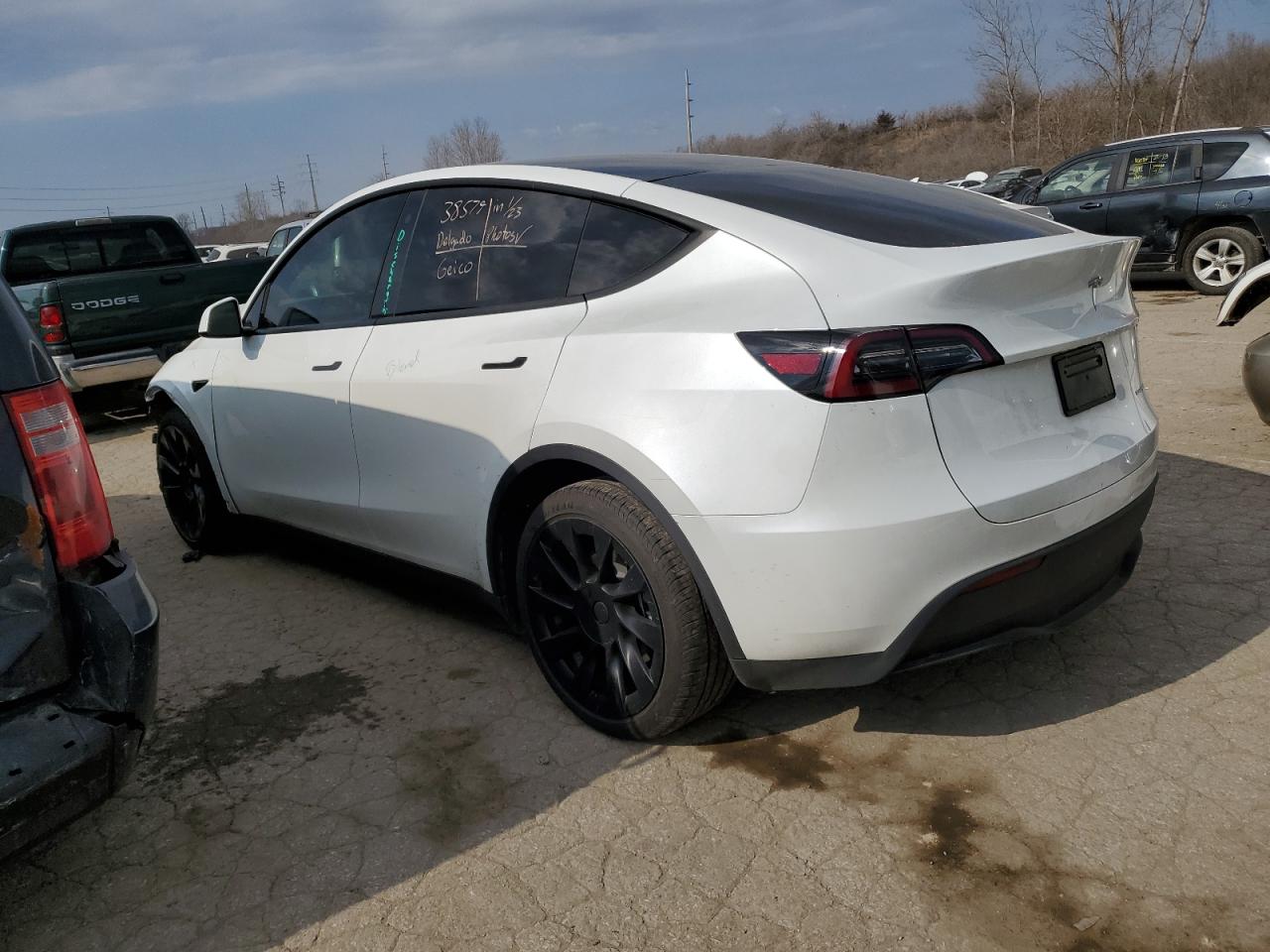 2023 TESLA MODEL Y  VIN:7SAYGDEE2PA119609