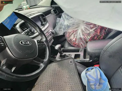 2019 Kia Sorento KNAPG81ABKA544542 VIN:KNAPG81ABKA544542