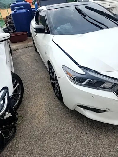 2017 Nissan Maxima 1N4AA6AP7HC417194 VIN:1N4AA6AP7HC417194