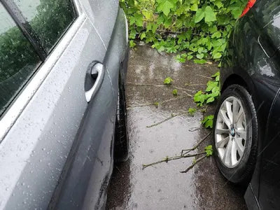 2023 BMW 523 WBA31ES09PWY05617 VIN:WBA31ES09PWY05617