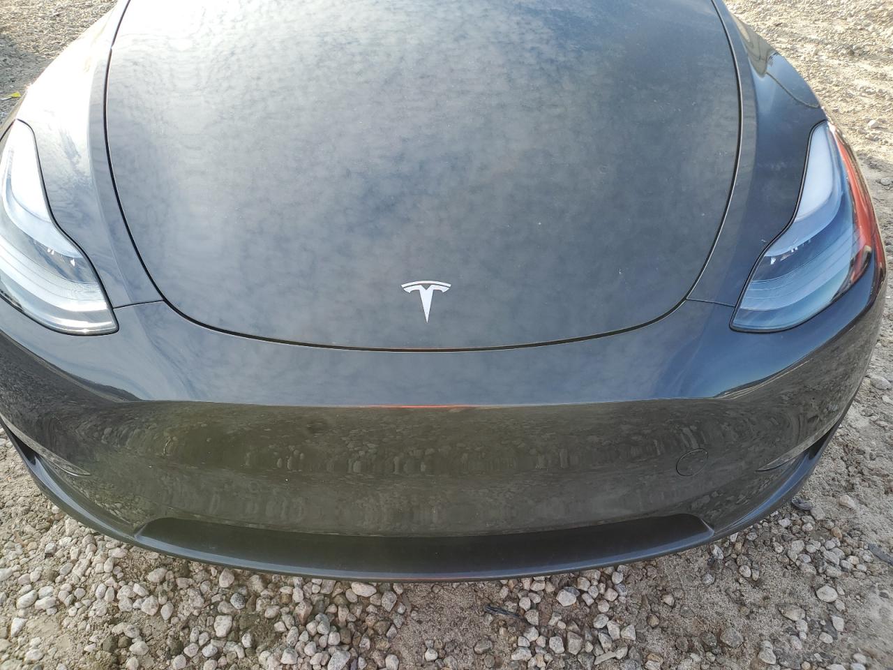 2024 TESLA MODEL Y  VIN:7SAYGDEF3RA323556