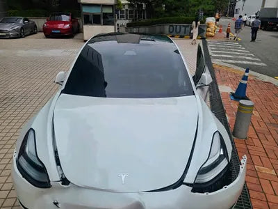 2020 Tesla Model 3 5YJ3E1EB0LF733542 VIN:5YJ3E1EB0LF733542