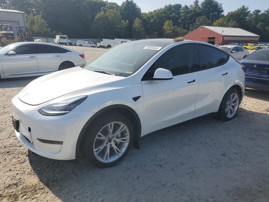 2023 TESLA MODEL Y  VIN:7SAYGDEE1PA145859