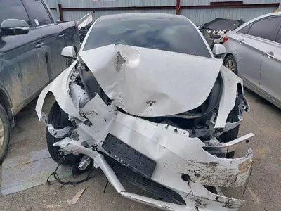 2021 Tesla Model 3 5YJ3E1EBXMF025672 VIN:5YJ3E1EBXMF025672