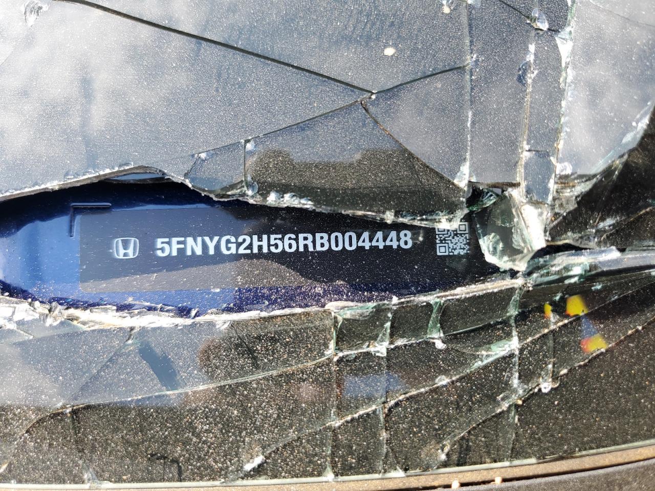 2024 HONDA PILOT EXL VIN:5FNYG2H56RB004448