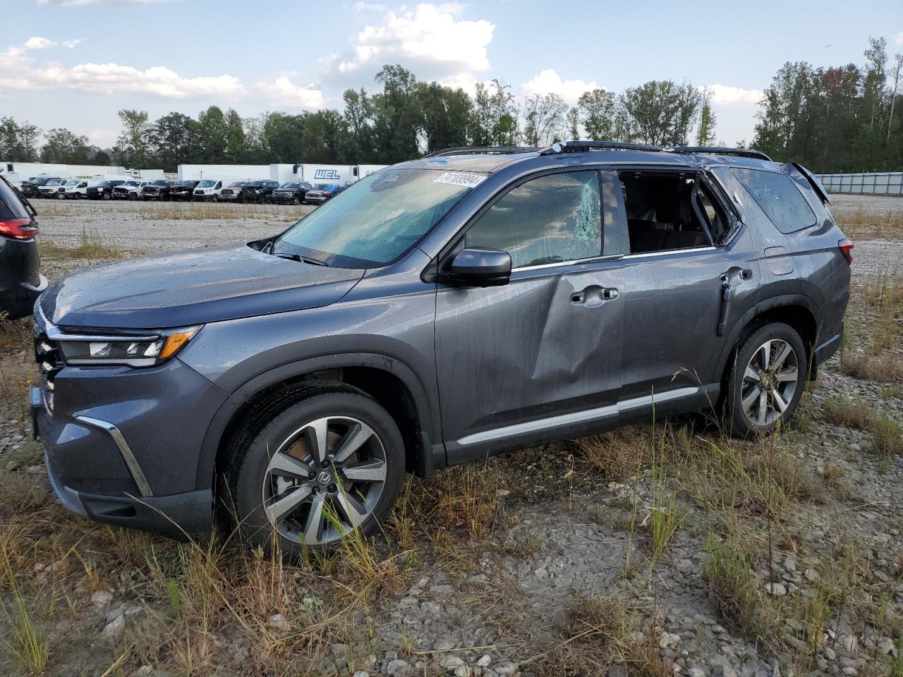 2024 HONDA PILOT ELITE VIN:5FNYG1H86RB045280