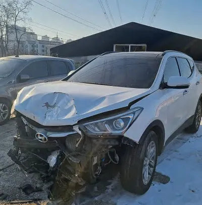 2018 Hyundai Santa FE KMHSW81UBJU827451 VIN:KMHSW81UBJU827451