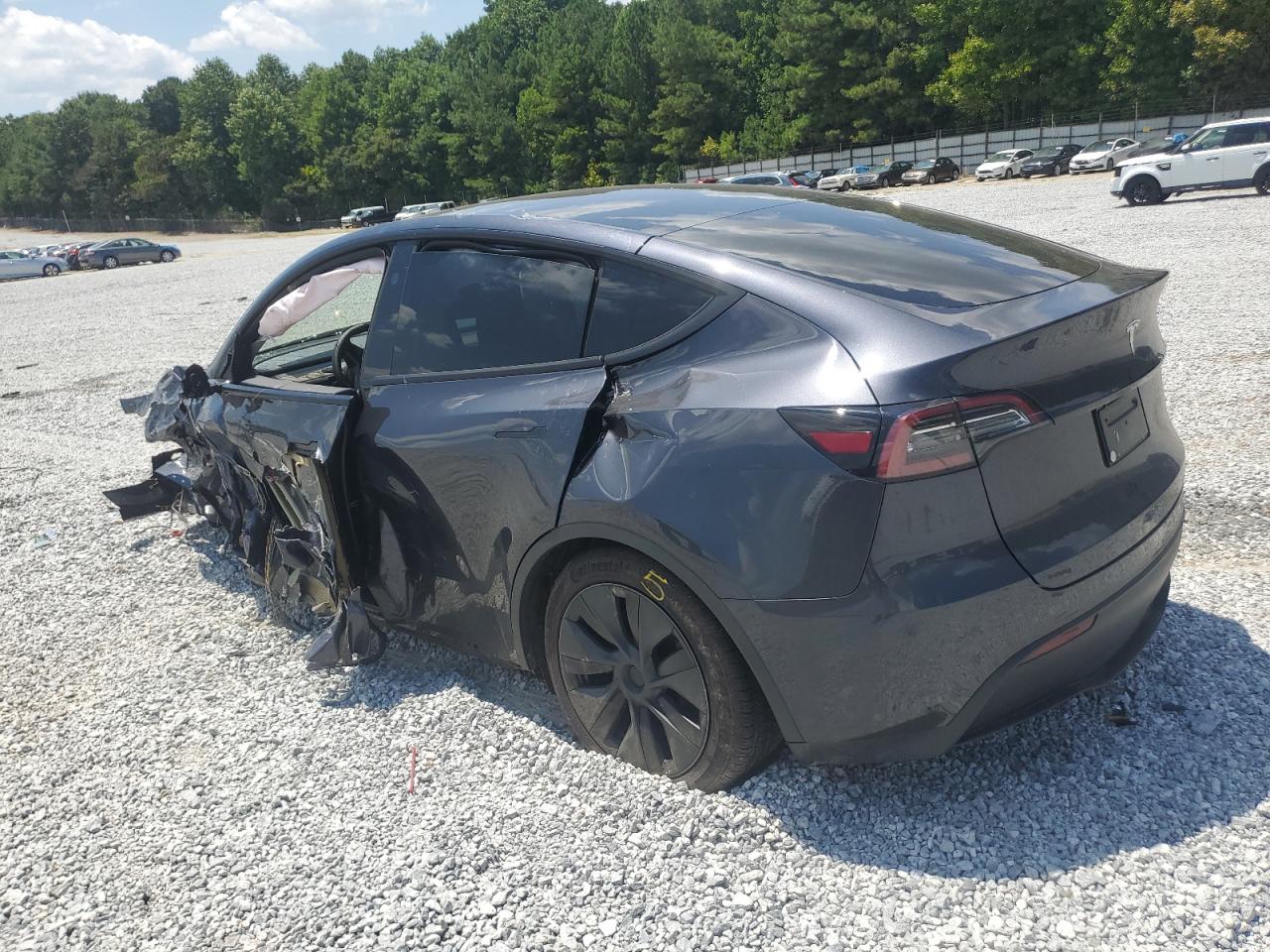 2024 TESLA MODEL Y  VIN:7SAYGDEDXRF102831