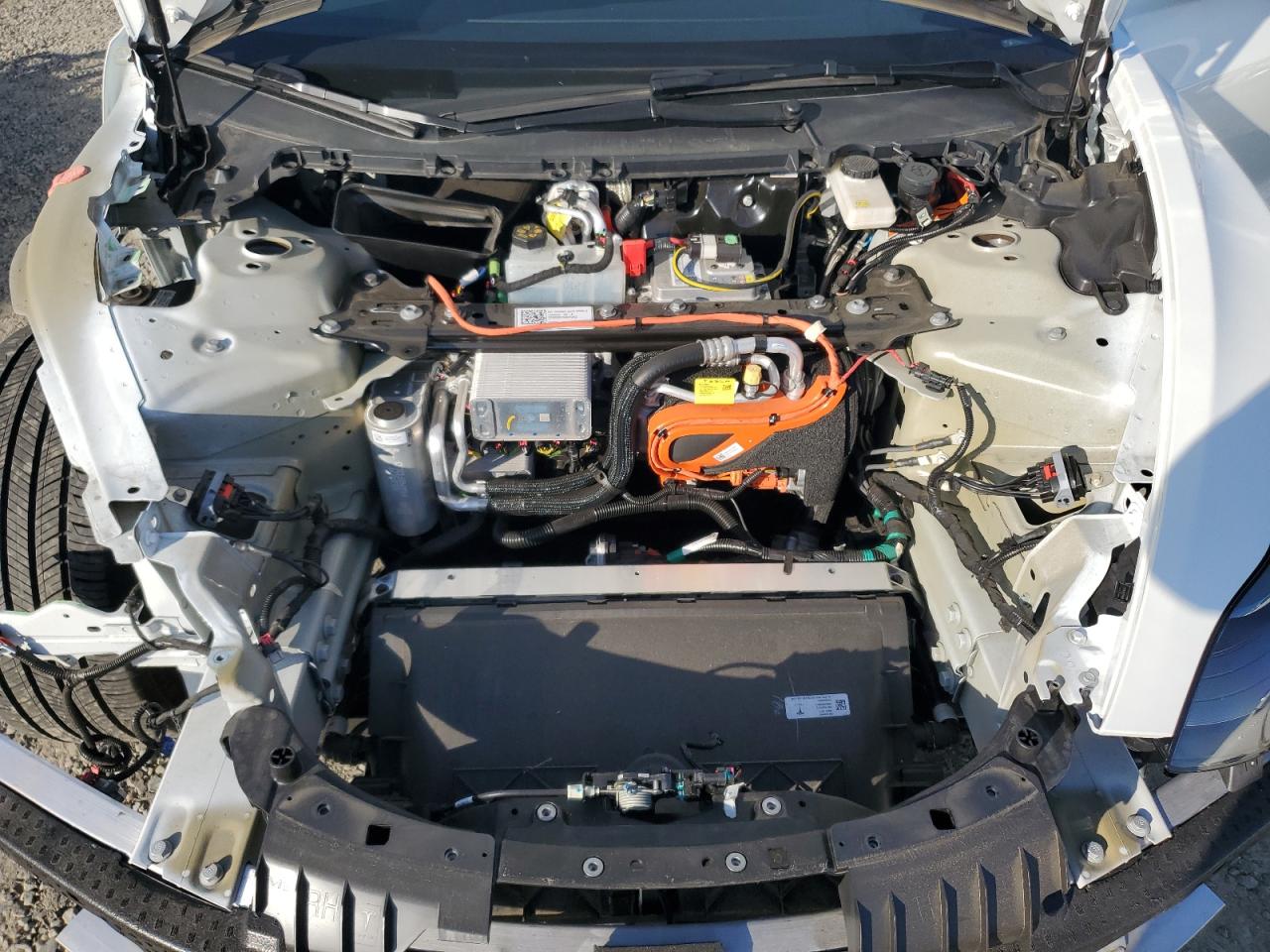 2023 TESLA MODEL 3  VIN:5YJ3E1EA1PF516157