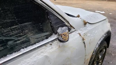 2021 Mercedes-Benz B 250 W1N4M4HB4MW101928 VIN:W1N4M4HB4MW101928