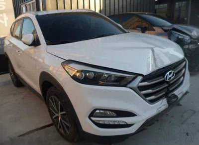 2016 Hyundai Tucson KMHJ381ABGU001294 VIN:KMHJ381ABGU001294