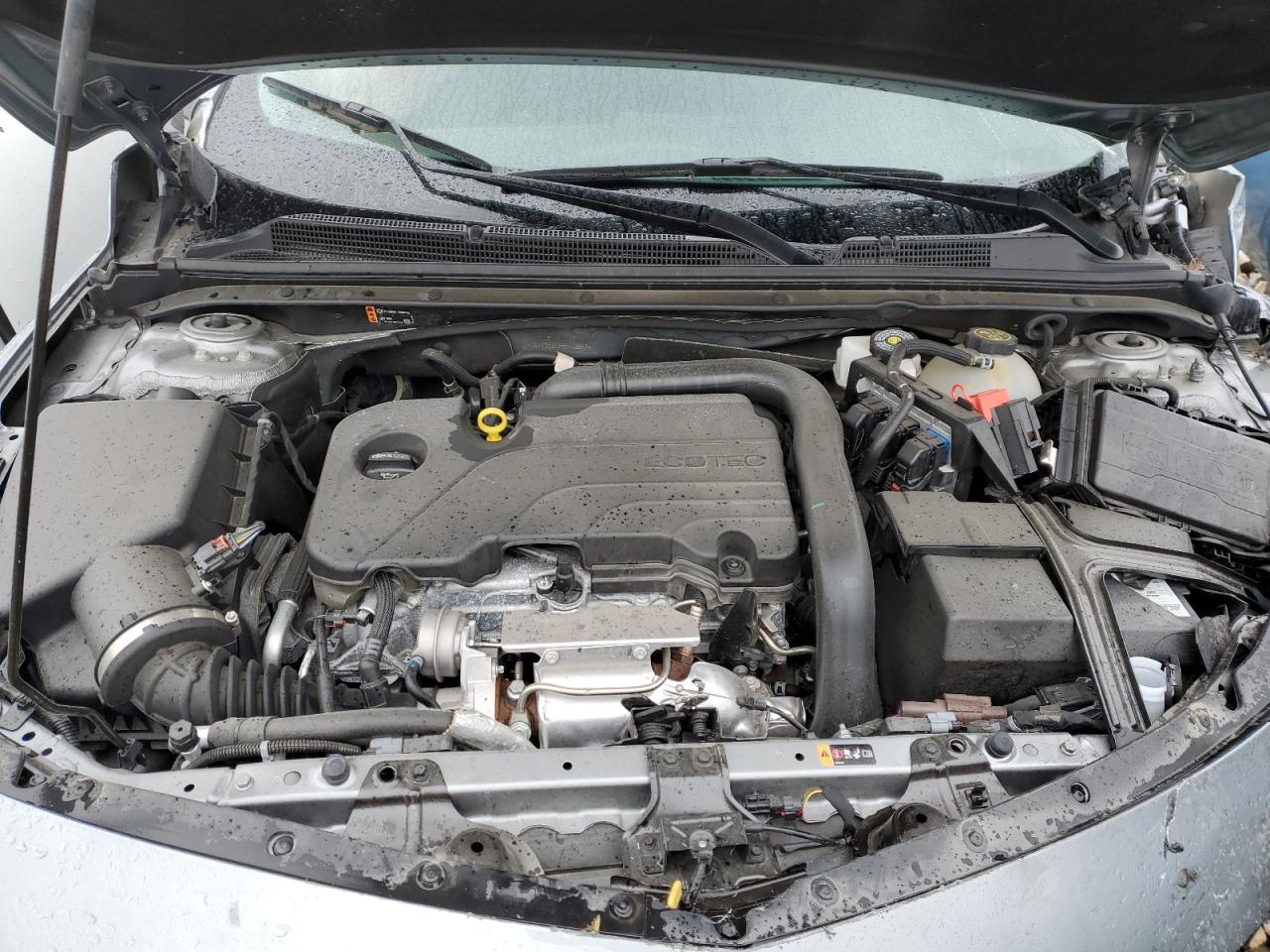 2024 CHEVROLET MALIBU LT VIN:1G1ZD5ST3RF113847