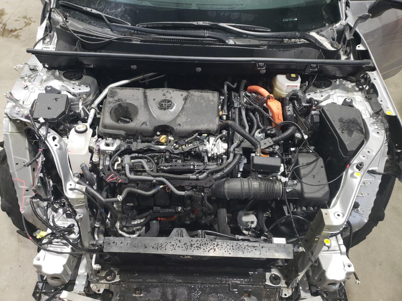 2024 TOYOTA RAV4 XLE VIN:2T3RWRFV2RW227535