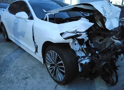 2019 Kia Stinger KNAE351ABKS058699 VIN:KNAE351ABKS058699