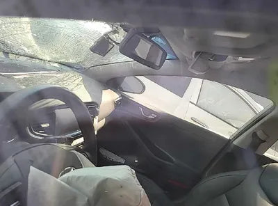 2019 Hyundai Ioniq KMHC851CGKU117393 VIN:KMHC851CGKU117393