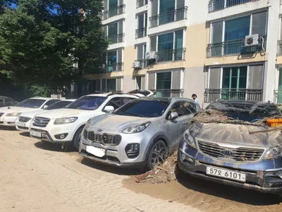 2016 Kia Sportage 981KMKNAPM813BGK0 VIN:981KMKNAPM813BGK0