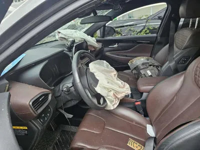 2019 Hyundai Santa FE KMHS581ABKU159014 VIN:KMHS581ABKU159014