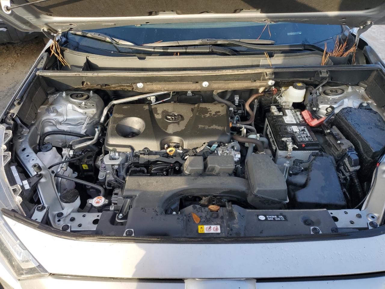 2023 TOYOTA RAV4 LE VIN:2T3K1RFV9PW297613