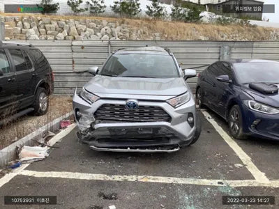2019 Toyota RAV4 JTMDWRFV9LD044986 VIN:JTMDWRFV9LD044986