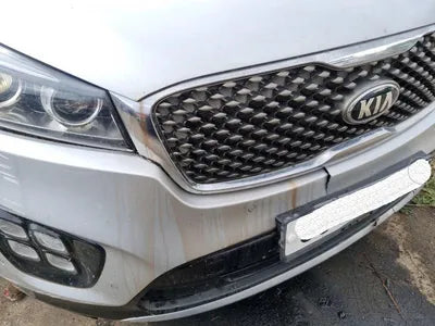 2017 Kia Sorento 108KMKNAPK81ADHA3 VIN:108KMKNAPK81ADHA3