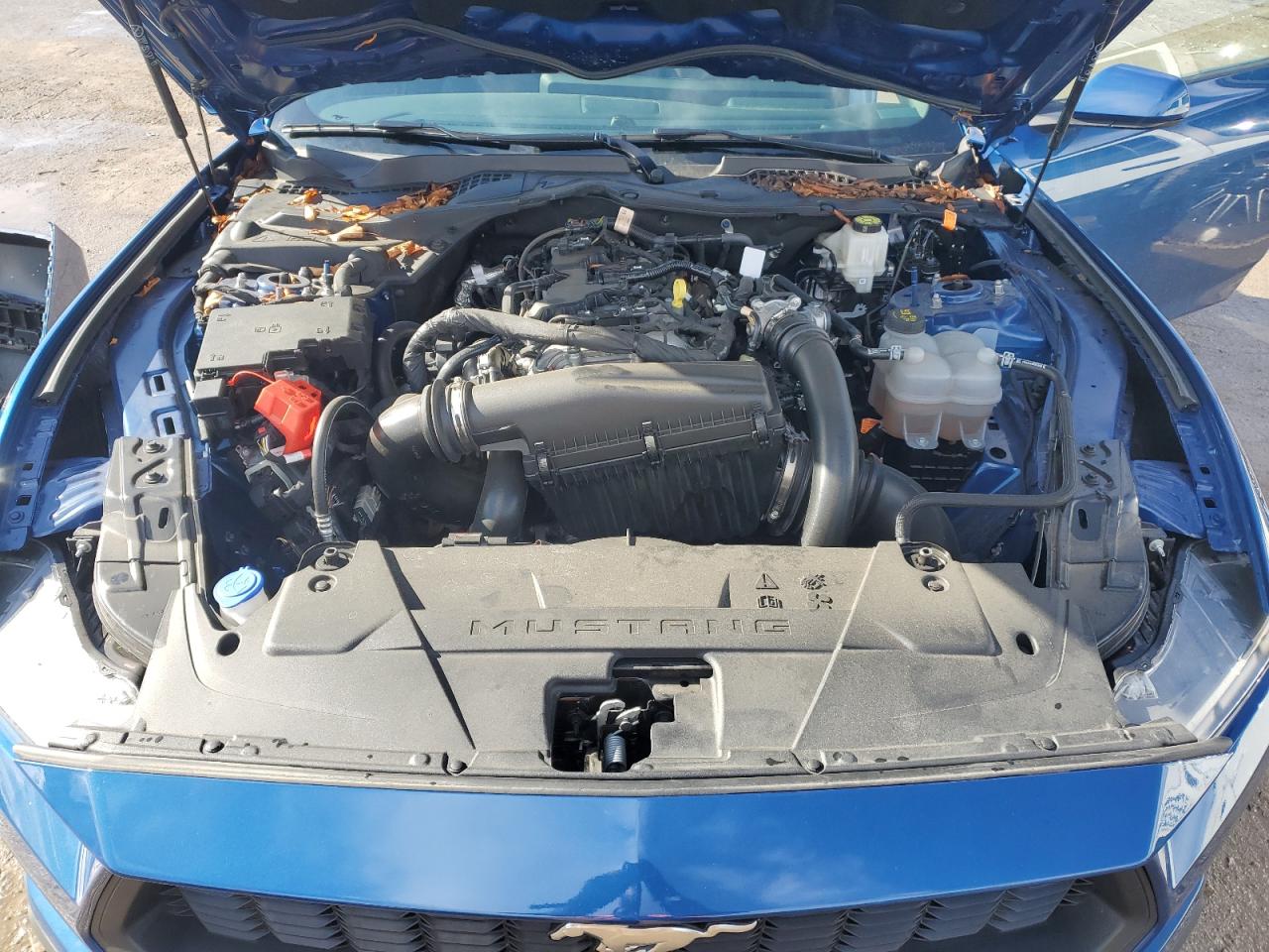 2024 FORD MUSTANG  VIN:1FA6P8TH2R5112665