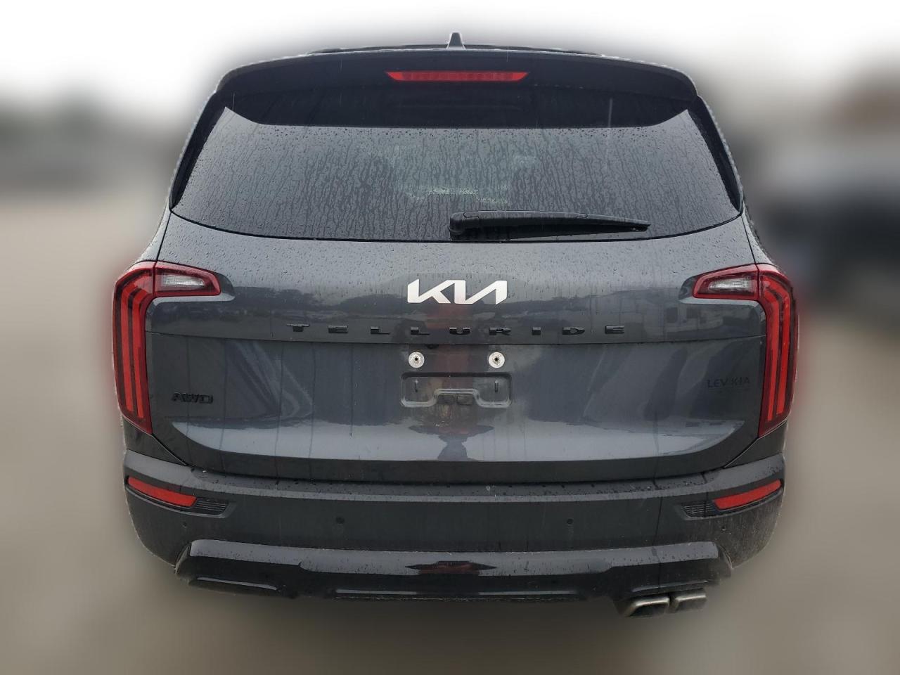 2022 KIA TELLURIDE SX VIN:5XYP5DHC0NG226384
