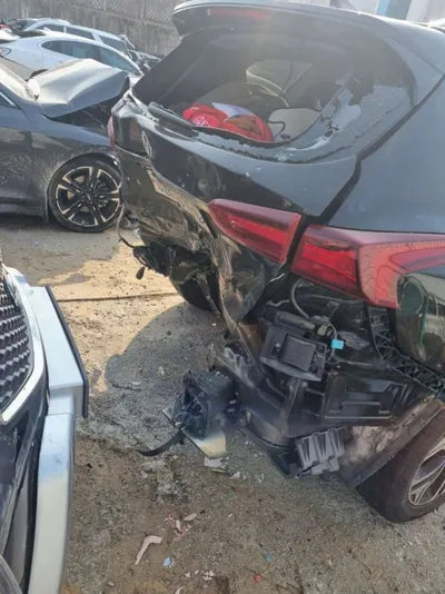 2019 Hyundai Santa FE 564KMKMHS381CDKU0 VIN:564KMKMHS381CDKU0