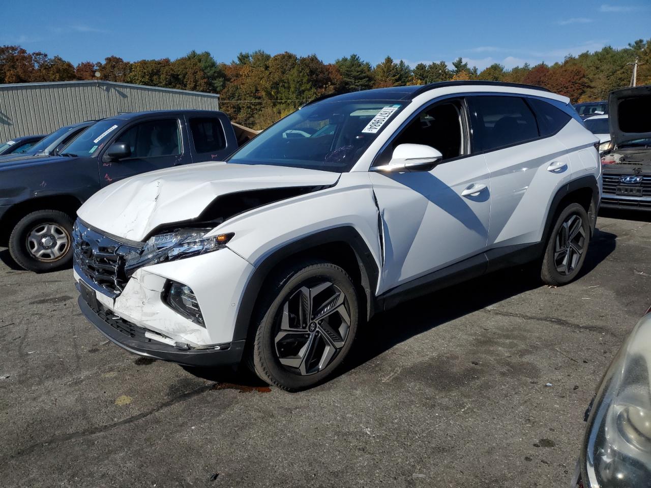 2023 HYUNDAI TUCSON LIMITED VIN:5NMJECAE8PH189928