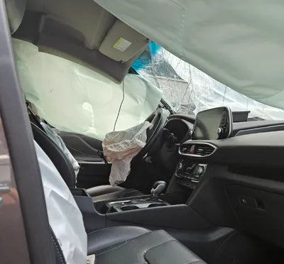 2020 Hyundai Santa FE KMHS281BBLU255970 VIN:KMHS281BBLU255970