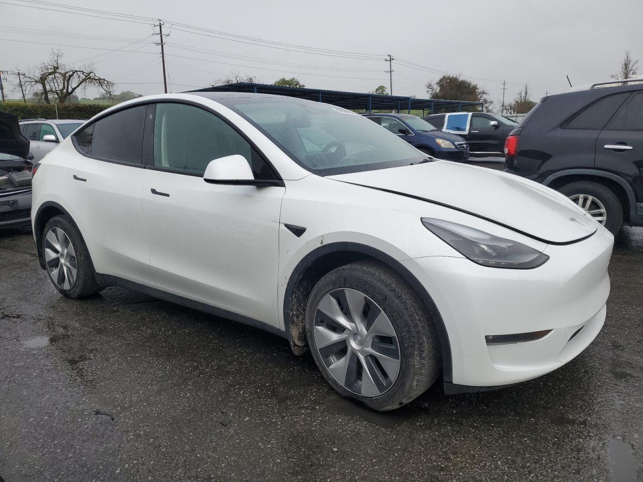 2023 TESLA MODEL Y  VIN:7SAYGDEE1PF669578