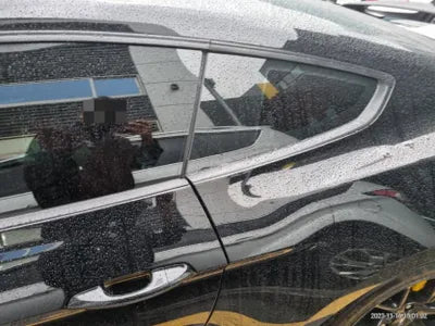 2019 Ford Mustang VIN: