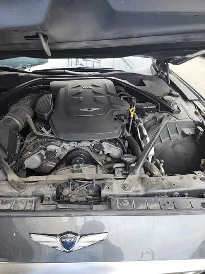 2019 Genesis G80 VIN: