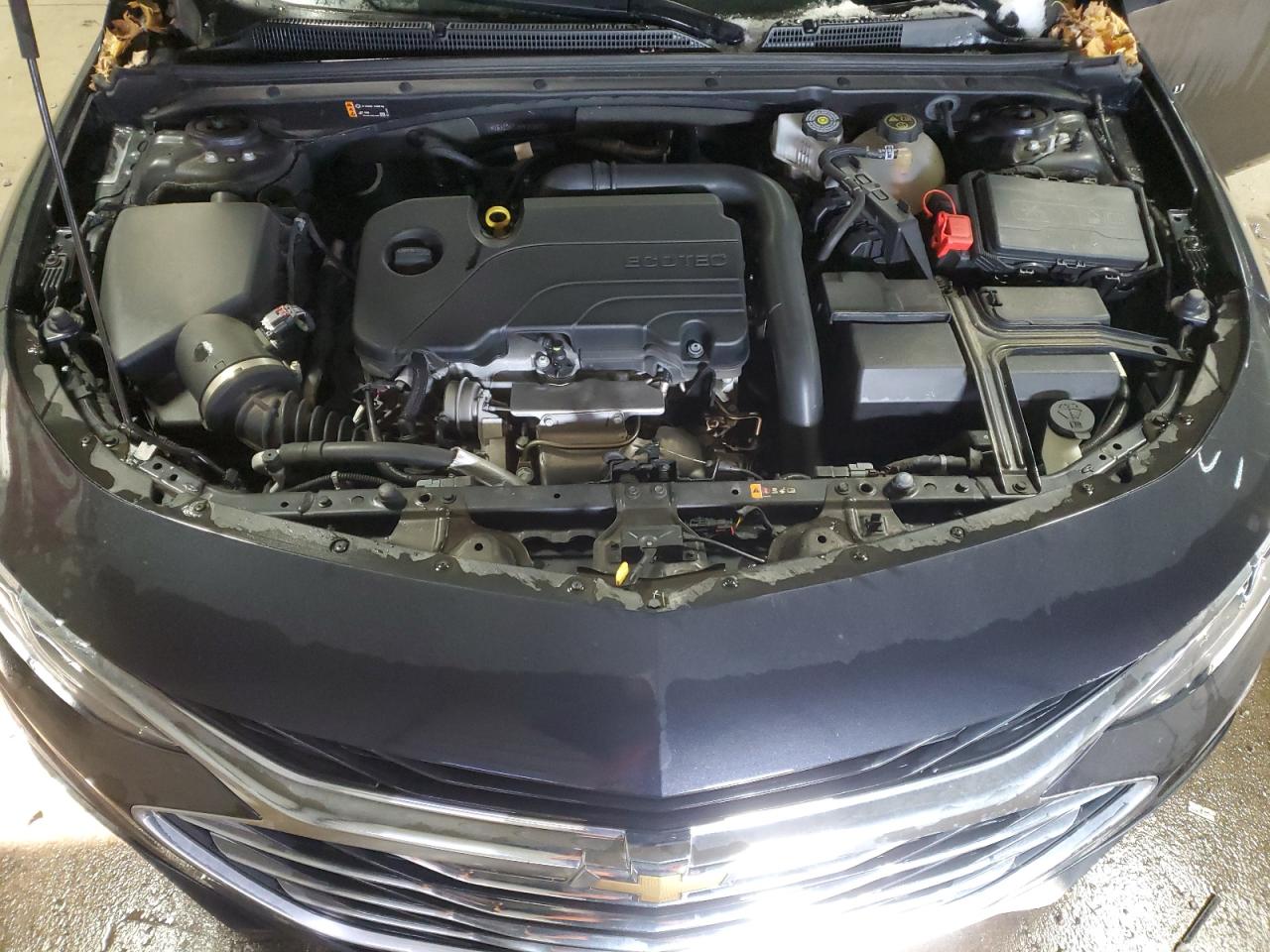 2023 CHEVROLET MALIBU LT VIN:1G1ZD5ST6PF215642