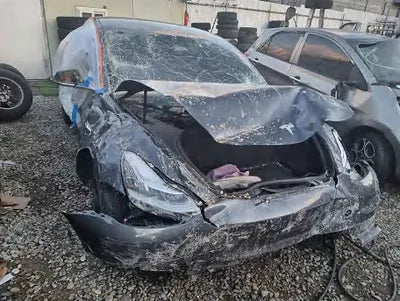 2020 Tesla Model 3 5YJ3E1EB0LF750728 VIN:5YJ3E1EB0LF750728