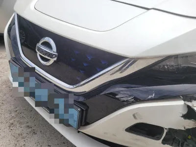 2019 Nissan Leaf VIN:
