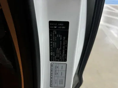 2020 Kia Carnival KNAMB81ABLS641748 VIN:KNAMB81ABLS641748
