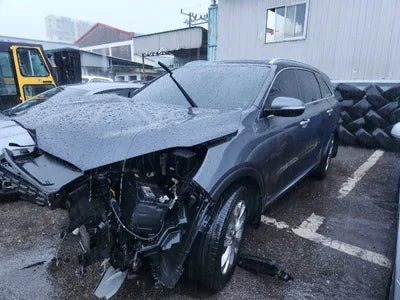 2019 Kia Sorento KNAPS81BBKA545743 VIN:KNAPS81BBKA545743