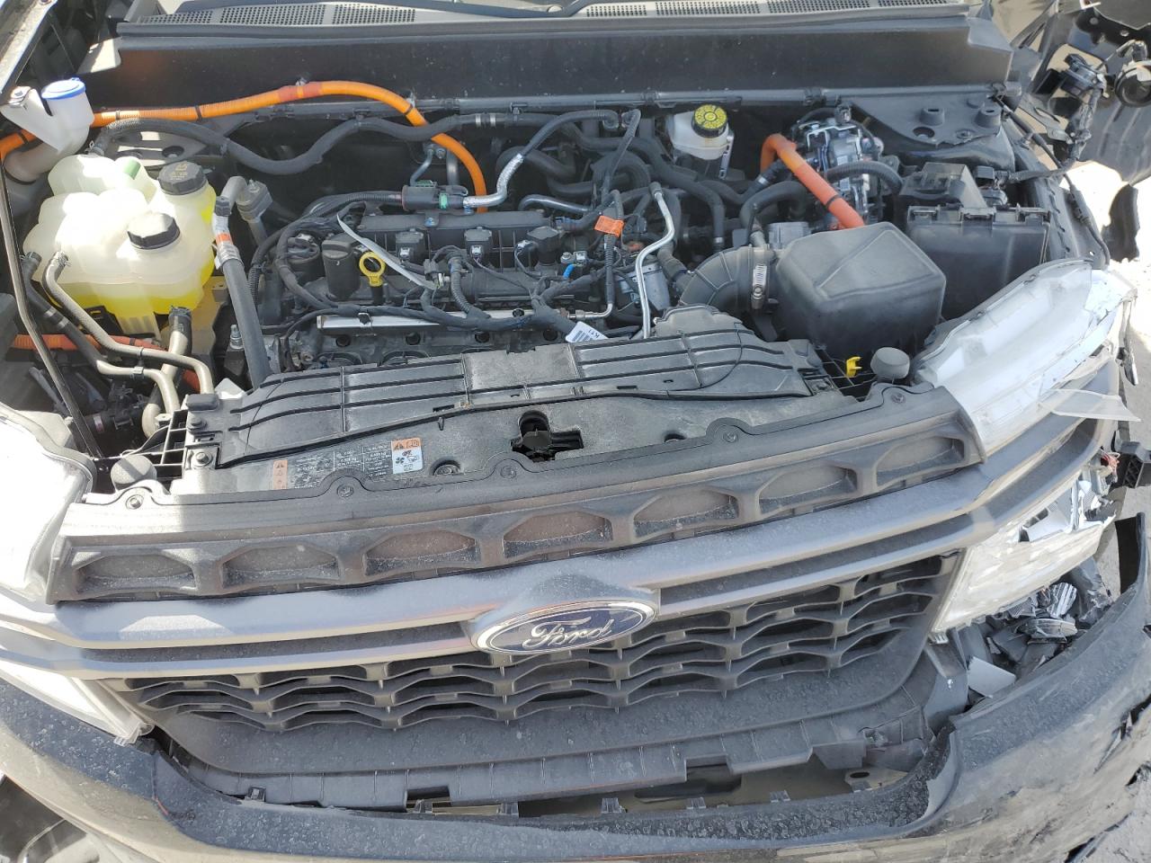 2024 FORD MAVERICK XLT VIN:3FTTW8H33RRA06929