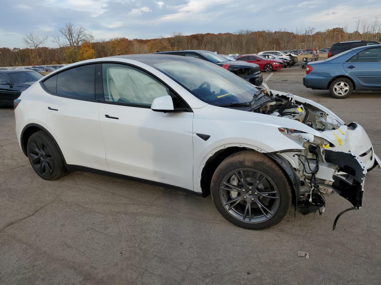 2024 TESLA MODEL Y  VIN:7SAYGDEE5RF130688