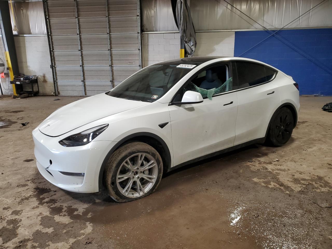 2023 TESLA MODEL Y  VIN:7SAYGDEE4PF755595
