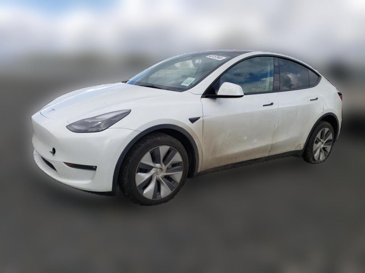 2023 TESLA MODEL Y  VIN:7SAYGDEE5PF661869