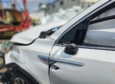 2021 Kia Sorento KNARF81BGMA054525 VIN:KNARF81BGMA054525