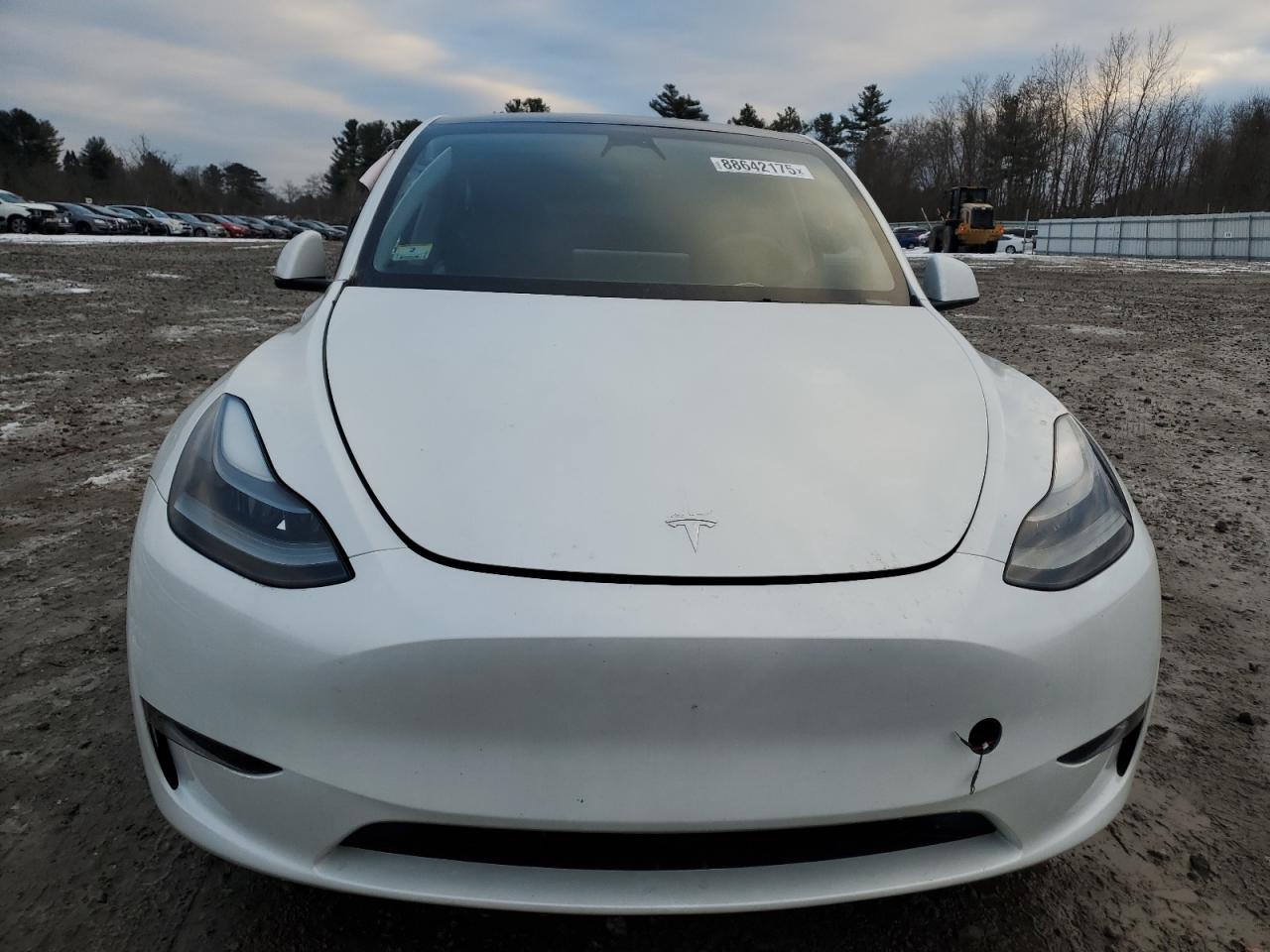 2023 TESLA MODEL Y  VIN:7SAYGDEE1PF675929