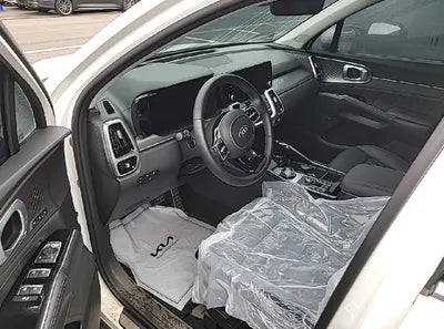 2021 Kia Sorento KNARL81BHMA061163 VIN:KNARL81BHMA061163