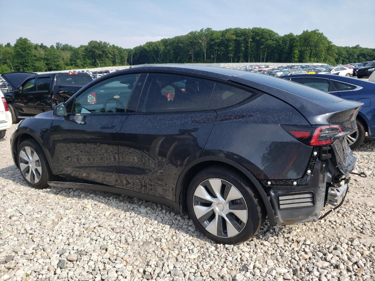 2024 TESLA MODEL Y  VIN:7SAYGDEE8RF037809