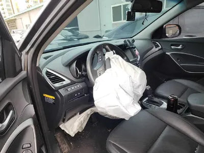 2016 Hyundai Santa FE KMHSW81UBGU532088 VIN:KMHSW81UBGU532088