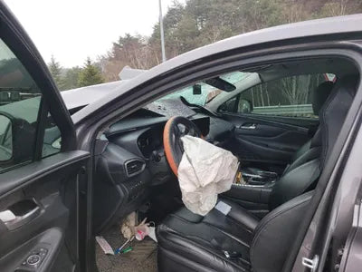 2020 Hyundai Santa FE KMHS281HHMU324774 VIN:KMHS281HHMU324774