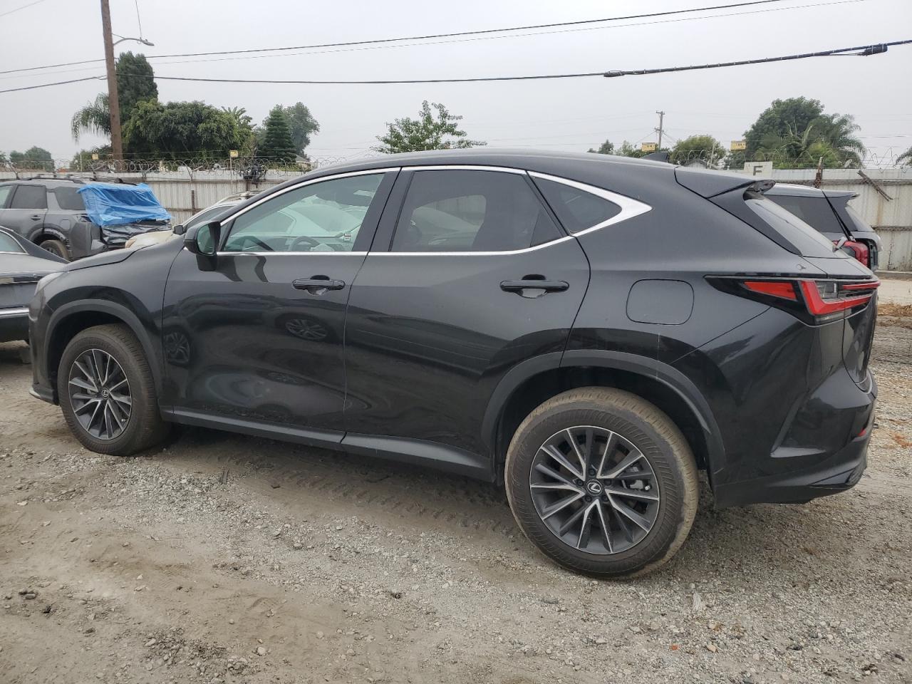 2024 LEXUS NX 250 BASE VIN:2T2ADCAZXRC013196