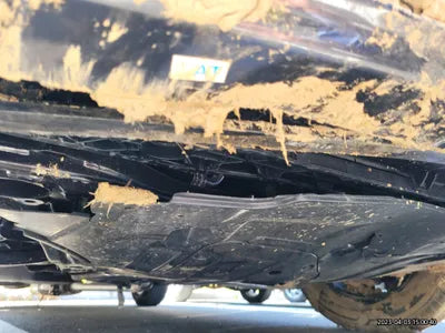 2023 Kia Sorento KNARL81GBPA144089 VIN:KNARL81GBPA144089