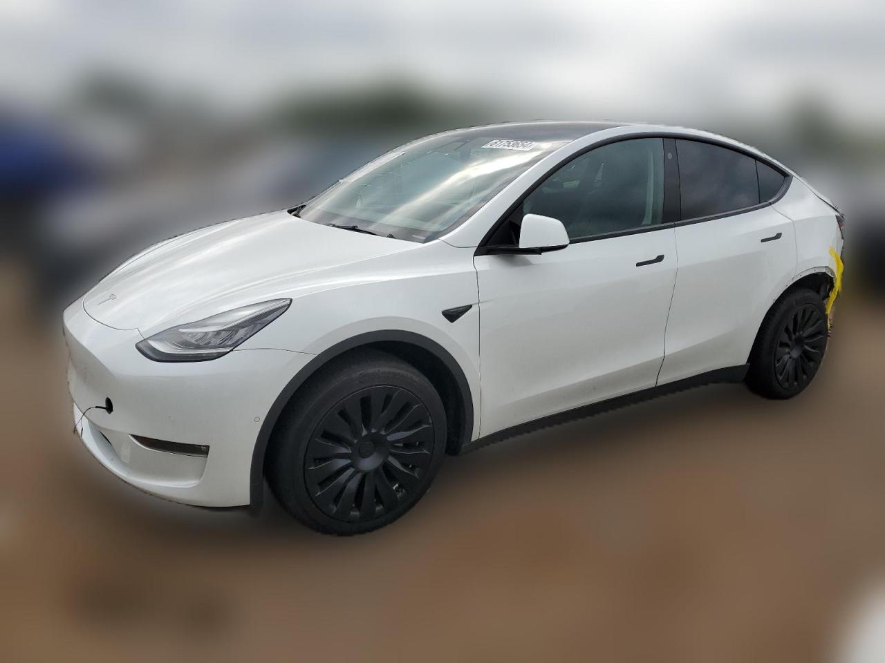 2022 TESLA MODEL Y  VIN:7SAYGDEE0NF321218